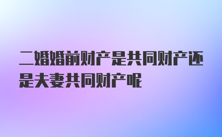 二婚婚前财产是共同财产还是夫妻共同财产呢