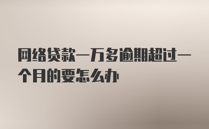 网络贷款一万多逾期超过一个月的要怎么办