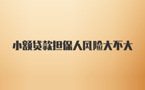 小额贷款担保人风险大不大