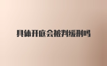 具体开庭会被判缓刑吗