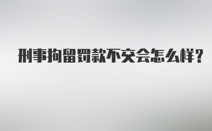 刑事拘留罚款不交会怎么样？