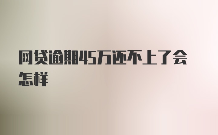 网贷逾期45万还不上了会怎样