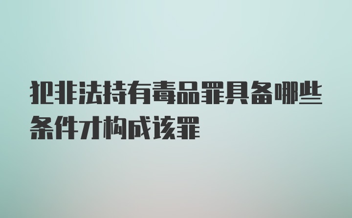 犯非法持有毒品罪具备哪些条件才构成该罪