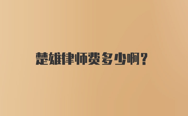 楚雄律师费多少啊？