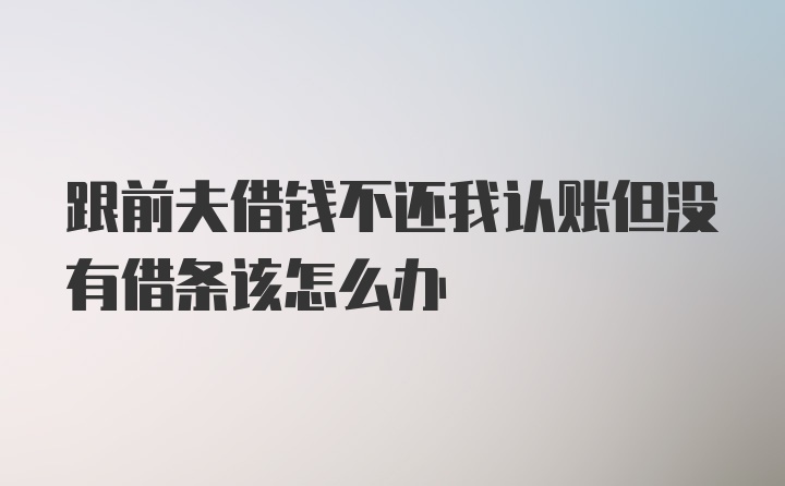 跟前夫借钱不还我认账但没有借条该怎么办