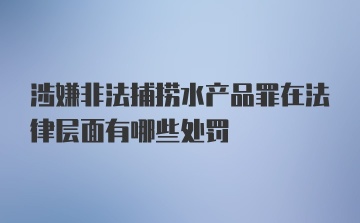 涉嫌非法捕捞水产品罪在法律层面有哪些处罚