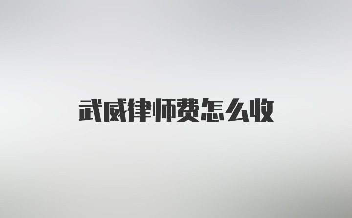 武威律师费怎么收