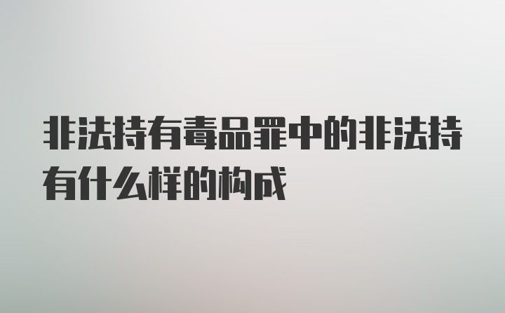 非法持有毒品罪中的非法持有什么样的构成