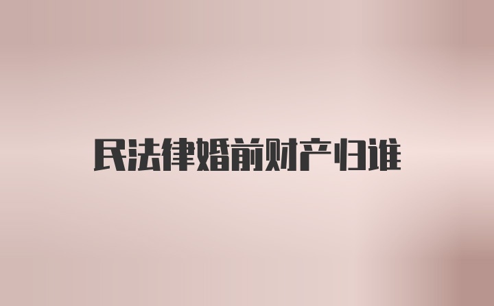 民法律婚前财产归谁