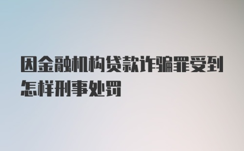 因金融机构贷款诈骗罪受到怎样刑事处罚