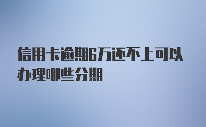 信用卡逾期6万还不上可以办理哪些分期