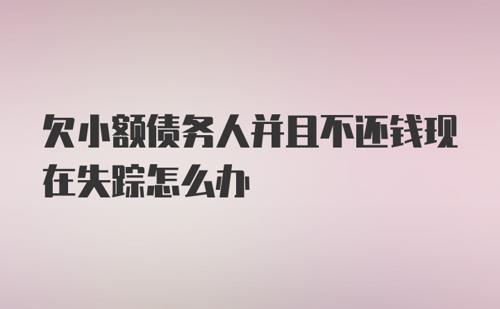 欠小额债务人并且不还钱现在失踪怎么办