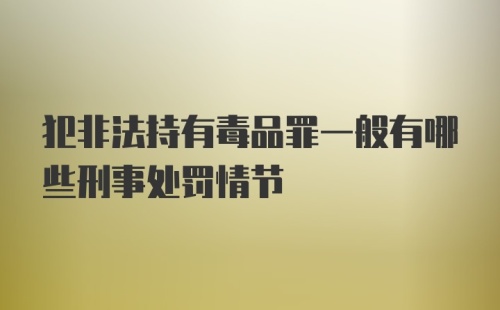 犯非法持有毒品罪一般有哪些刑事处罚情节