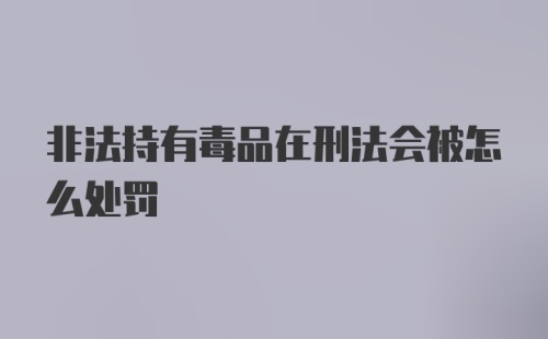 非法持有毒品在刑法会被怎么处罚