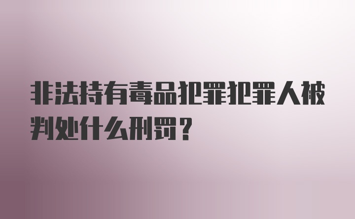 非法持有毒品犯罪犯罪人被判处什么刑罚？