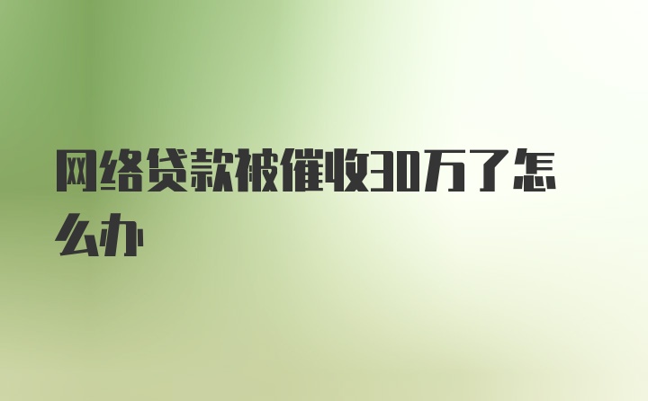 网络贷款被催收30万了怎么办