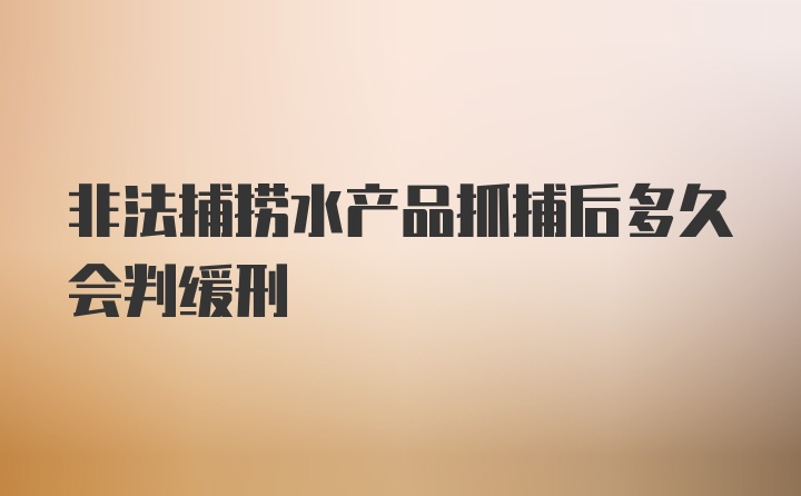 非法捕捞水产品抓捕后多久会判缓刑