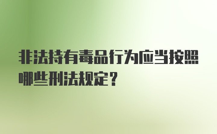 非法持有毒品行为应当按照哪些刑法规定?