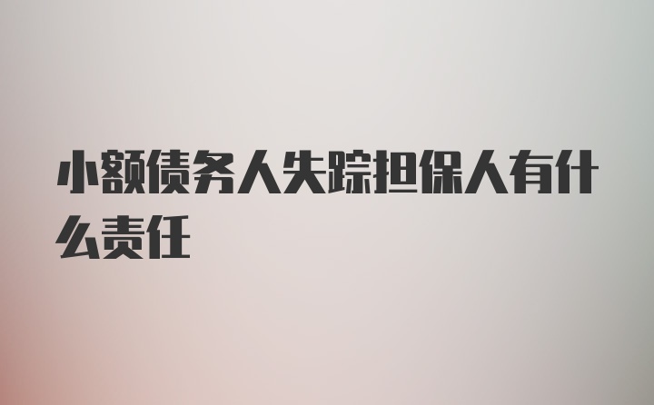 小额债务人失踪担保人有什么责任