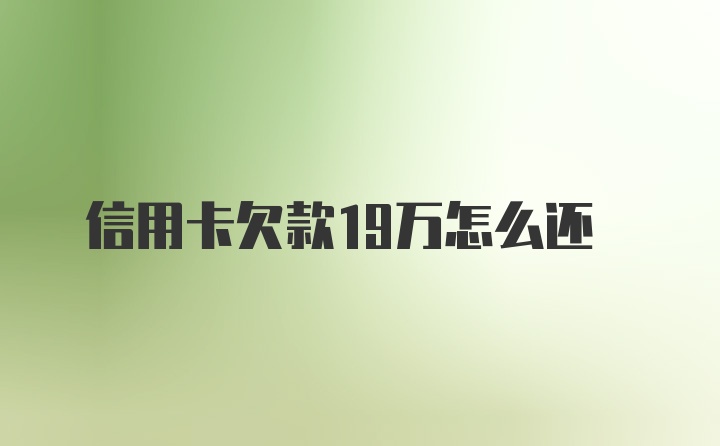 信用卡欠款19万怎么还