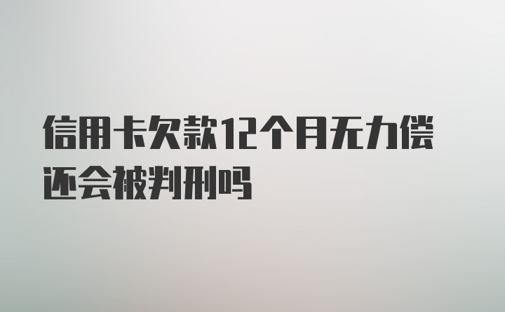 信用卡欠款12个月无力偿还会被判刑吗