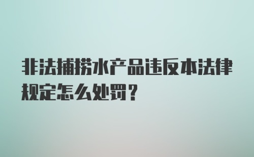 非法捕捞水产品违反本法律规定怎么处罚？