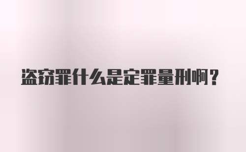 盗窃罪什么是定罪量刑啊？