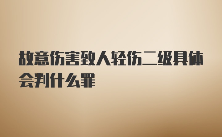 故意伤害致人轻伤二级具体会判什么罪