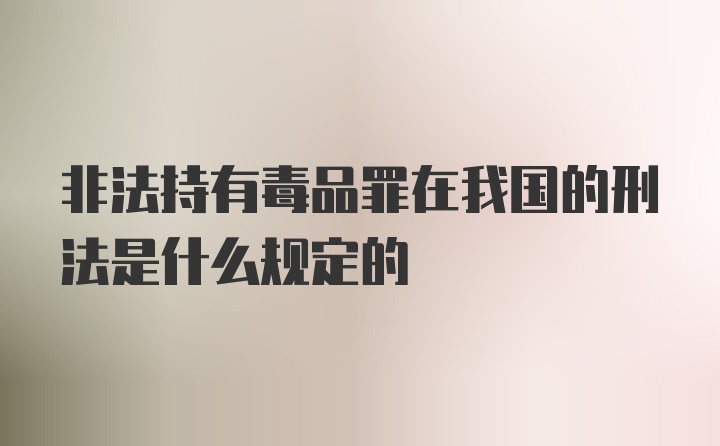 非法持有毒品罪在我国的刑法是什么规定的