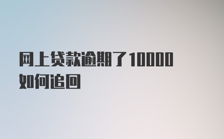 网上贷款逾期了10000如何追回