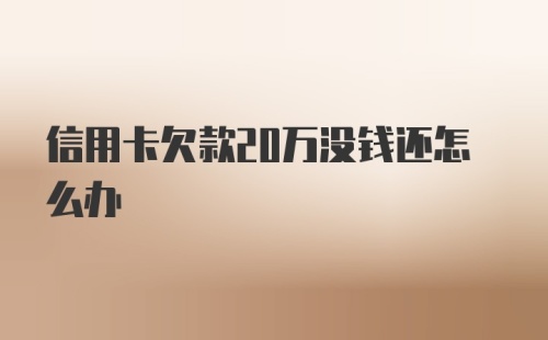 信用卡欠款20万没钱还怎么办