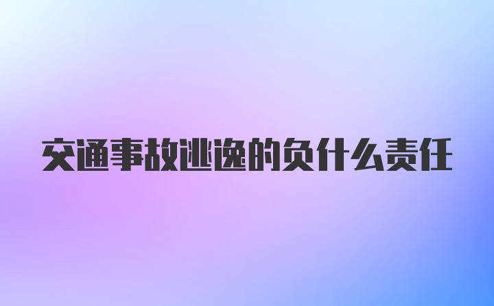 交通事故逃逸的负什么责任