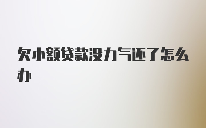 欠小额贷款没力气还了怎么办