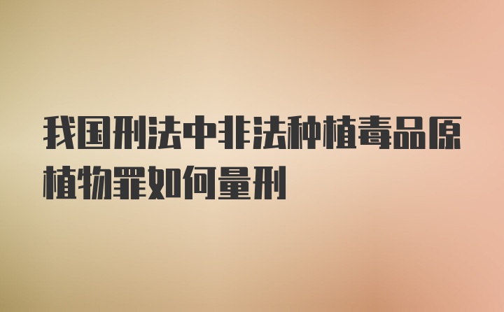 我国刑法中非法种植毒品原植物罪如何量刑