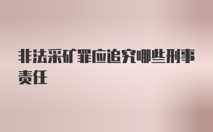 非法采矿罪应追究哪些刑事责任