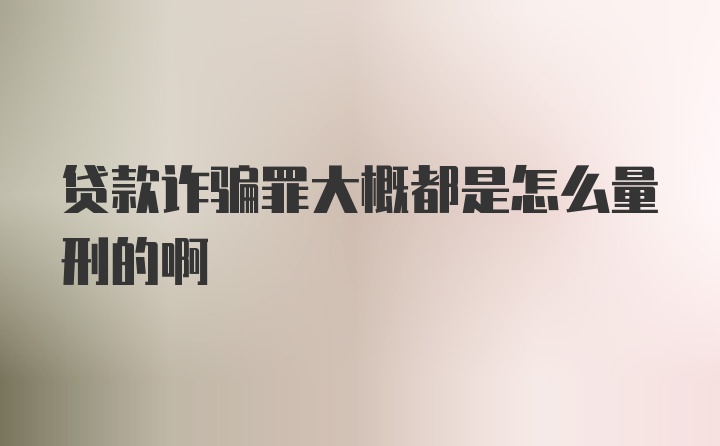 贷款诈骗罪大概都是怎么量刑的啊