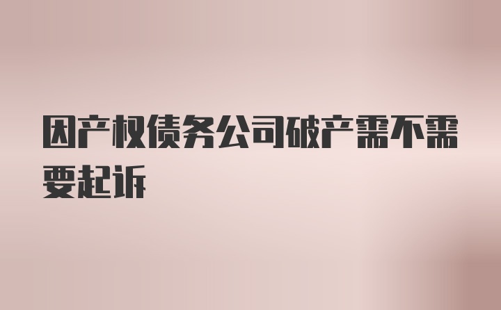 因产权债务公司破产需不需要起诉