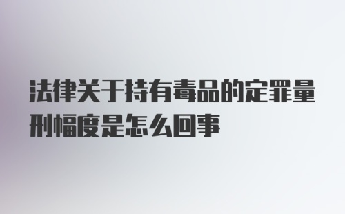 法律关于持有毒品的定罪量刑幅度是怎么回事