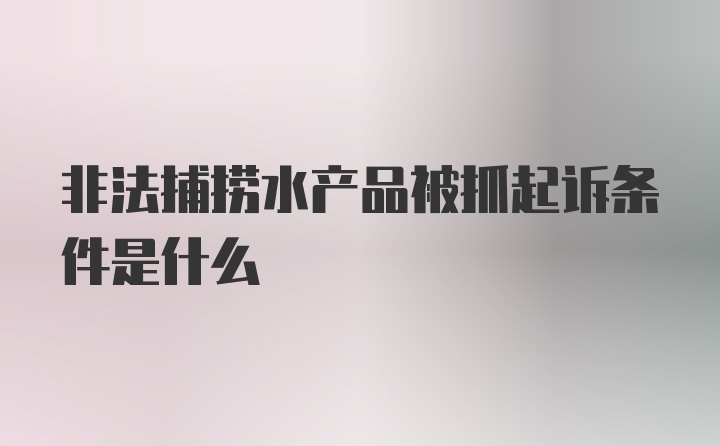 非法捕捞水产品被抓起诉条件是什么