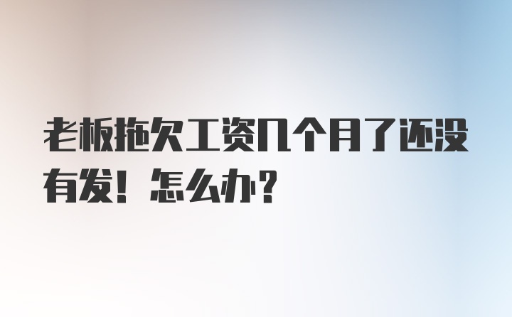 老板拖欠工资几个月了还没有发！怎么办？