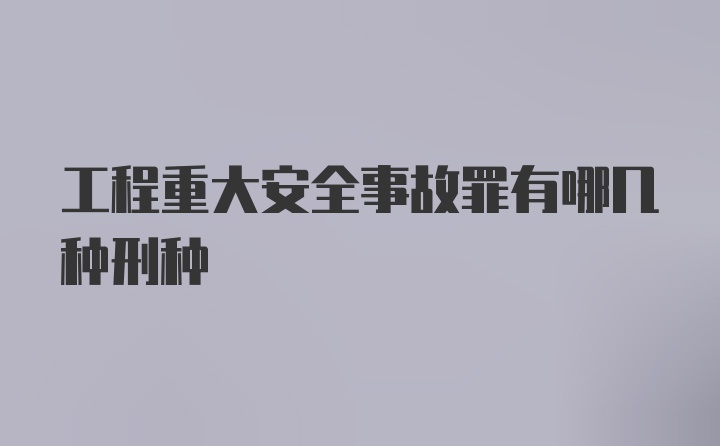 工程重大安全事故罪有哪几种刑种