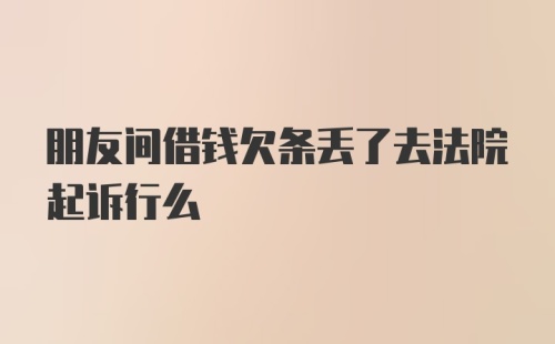 朋友间借钱欠条丢了去法院起诉行么