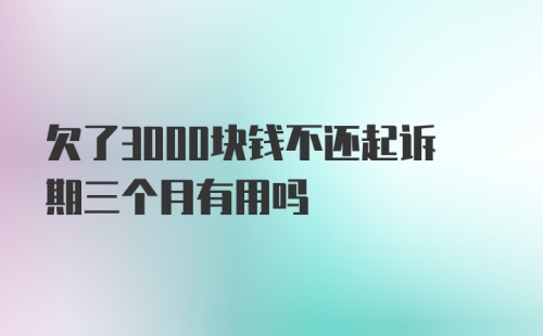 欠了3000块钱不还起诉期三个月有用吗