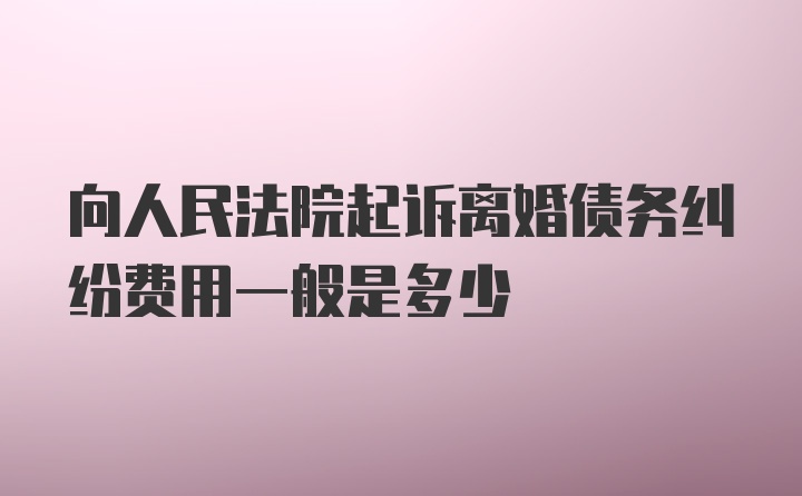 向人民法院起诉离婚债务纠纷费用一般是多少