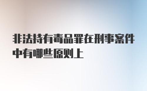 非法持有毒品罪在刑事案件中有哪些原则上