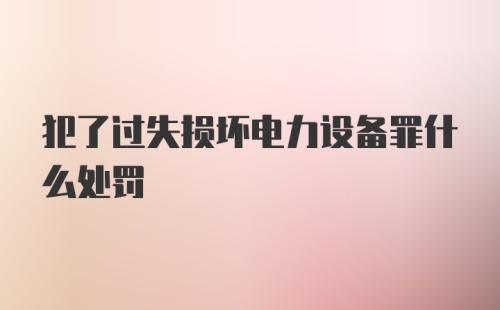 犯了过失损坏电力设备罪什么处罚