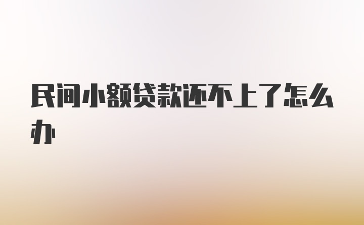 民间小额贷款还不上了怎么办