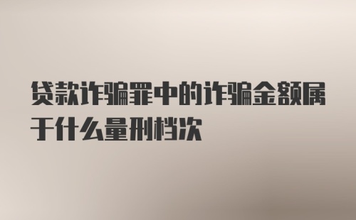 贷款诈骗罪中的诈骗金额属于什么量刑档次