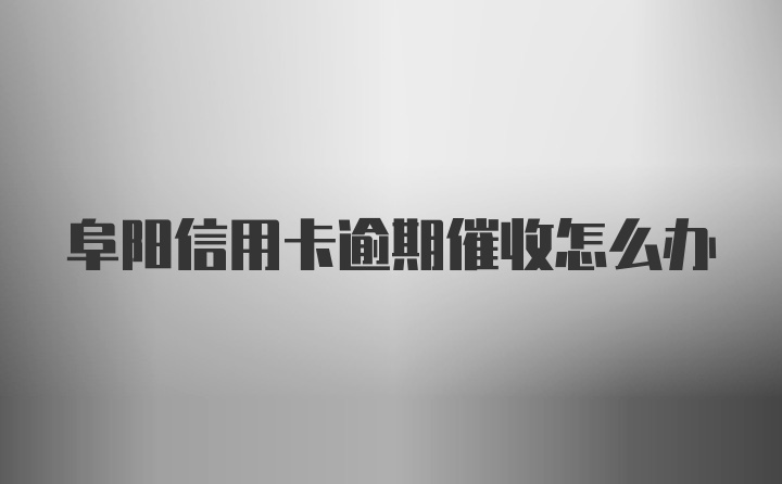 阜阳信用卡逾期催收怎么办