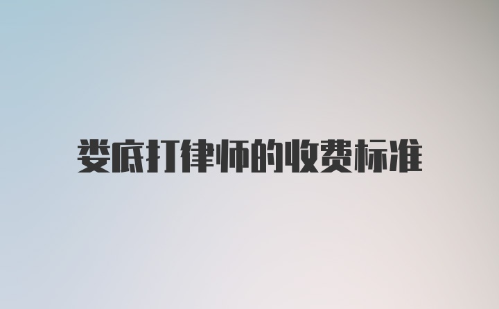 娄底打律师的收费标准